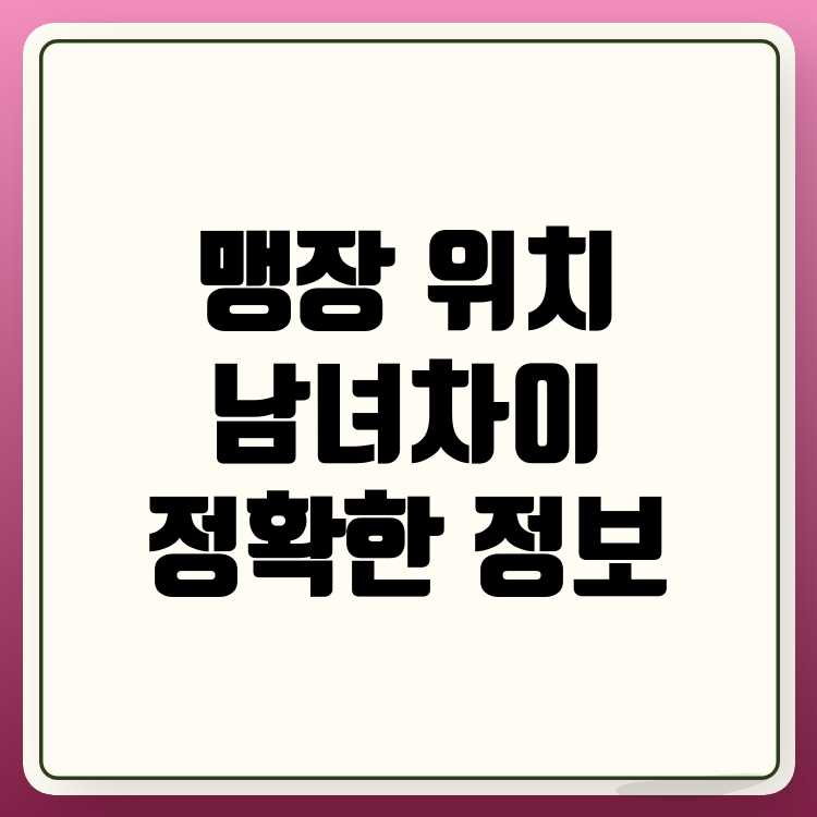 맹장 위치 남성과 여성의 차이점