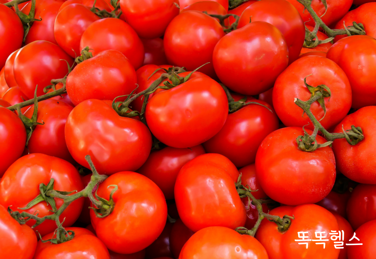 면역력 높이는 음식 토마토