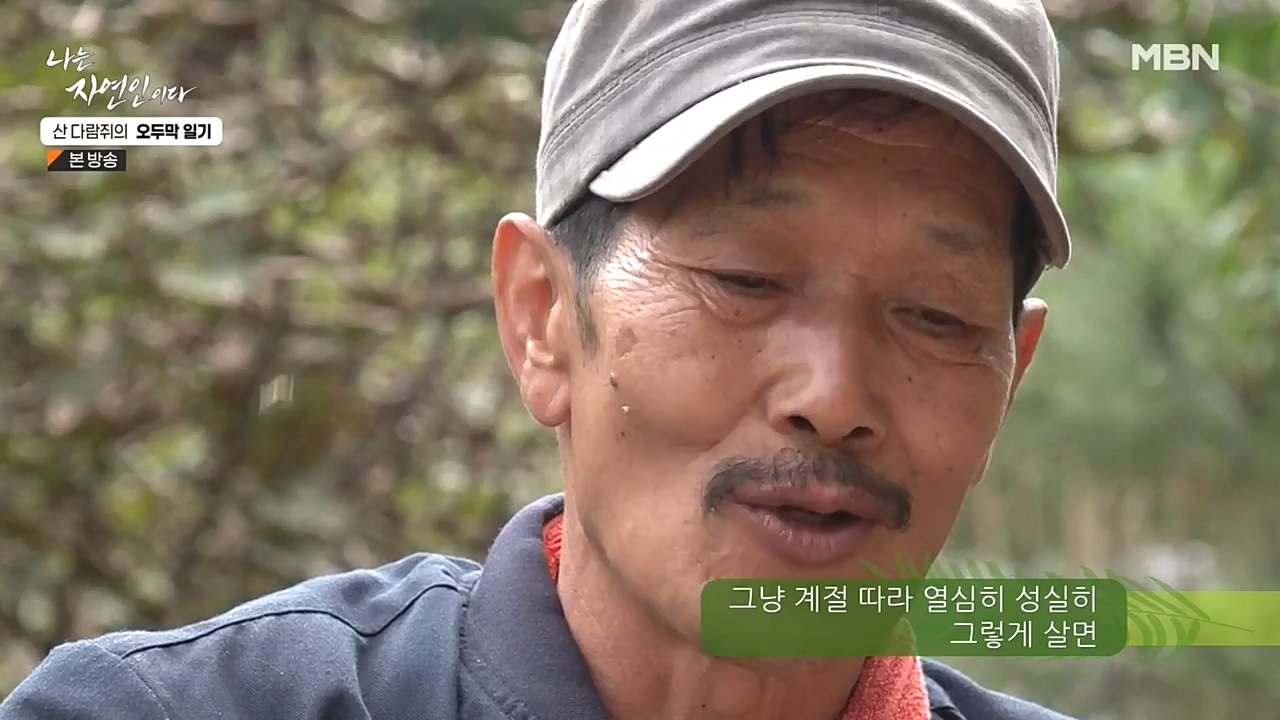 나는 자연인이다.E525.221027p-NEXT.mp4_20221027_192801.185.jpg