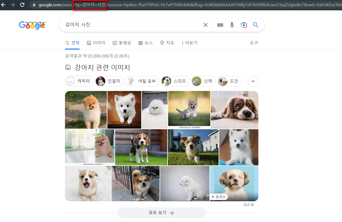 구글검색에서-강아지를-검색한-결과화면