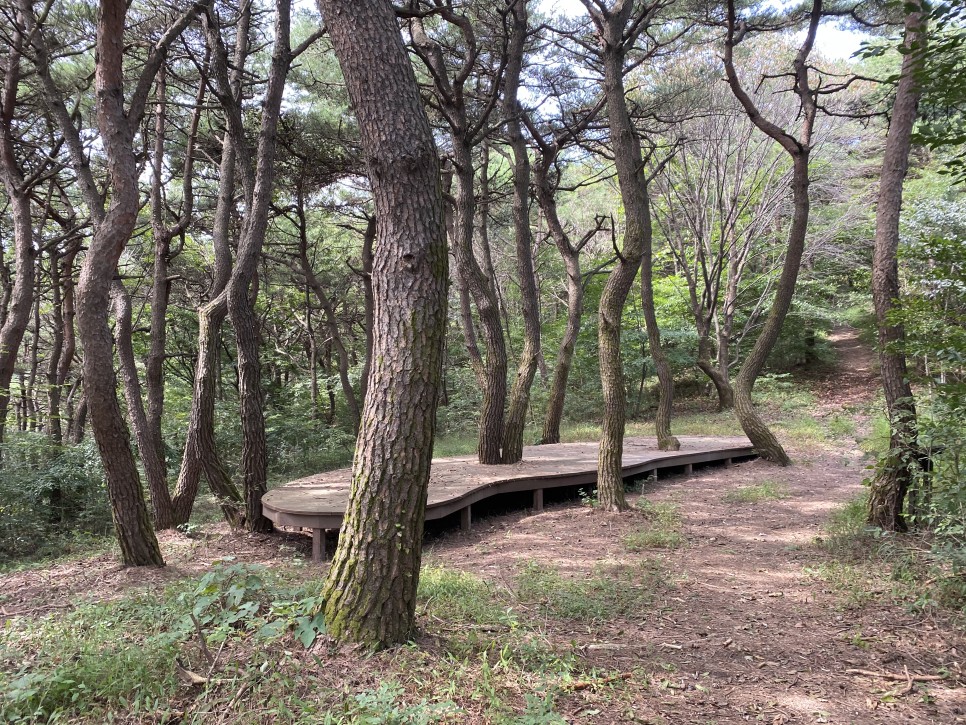 홍길동이 다녀간 21