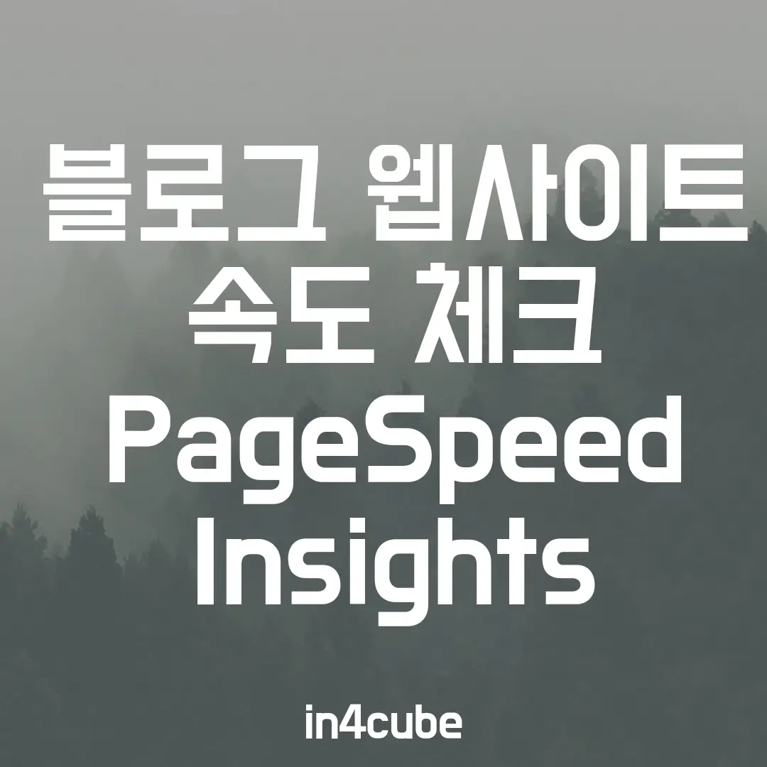 블로그-웹사이트-속도-체크-Page-Speed-Insights