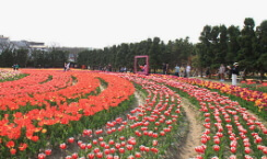 화담숲 예약방법