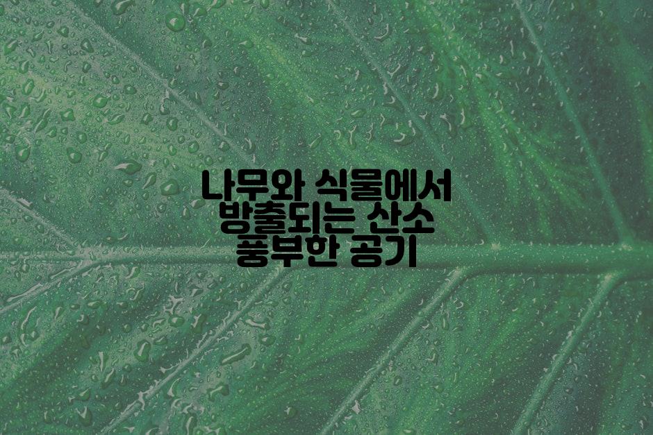 나무와 식물에서 방출되는 산소 풍부한 공기