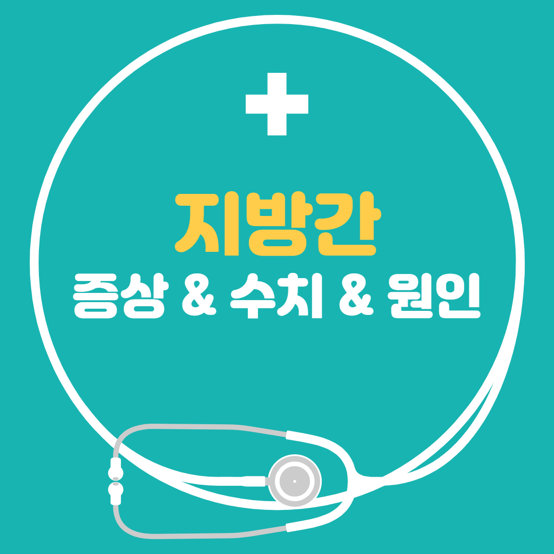  지방간 - 증상 수치 원인 꼭 알아야해요