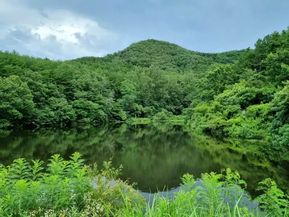 산책로 끝에는 또 다른 저수지가 있습니다.