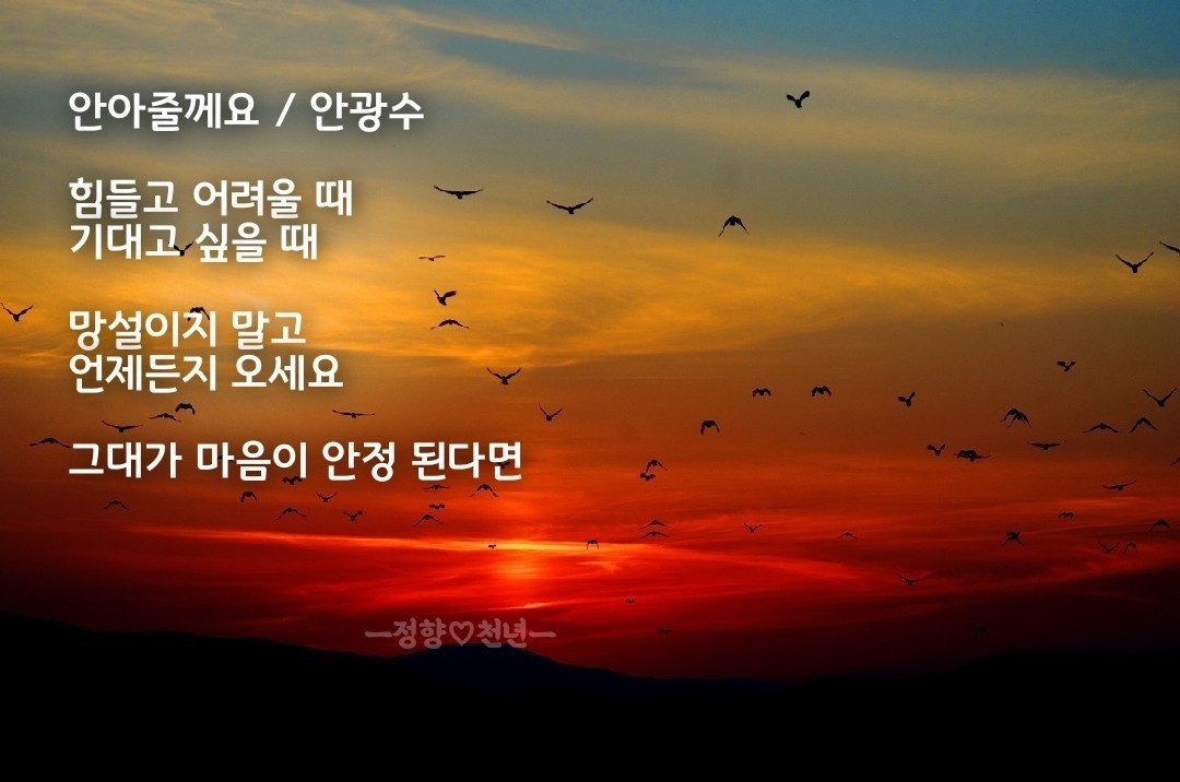 희망 이미지