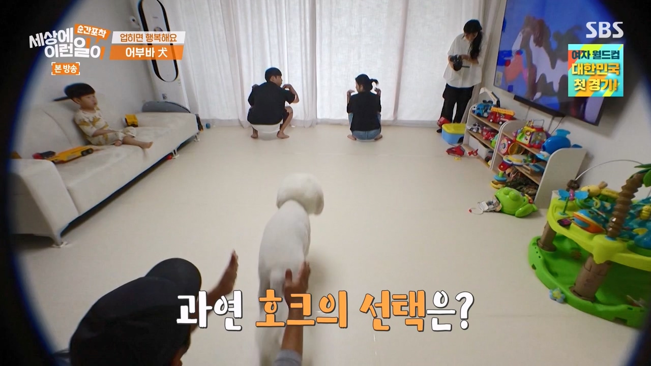 순간포착 세상에 이런일이.E1238.230723p-NEXT.mp4_20230724_205442.150.jpg