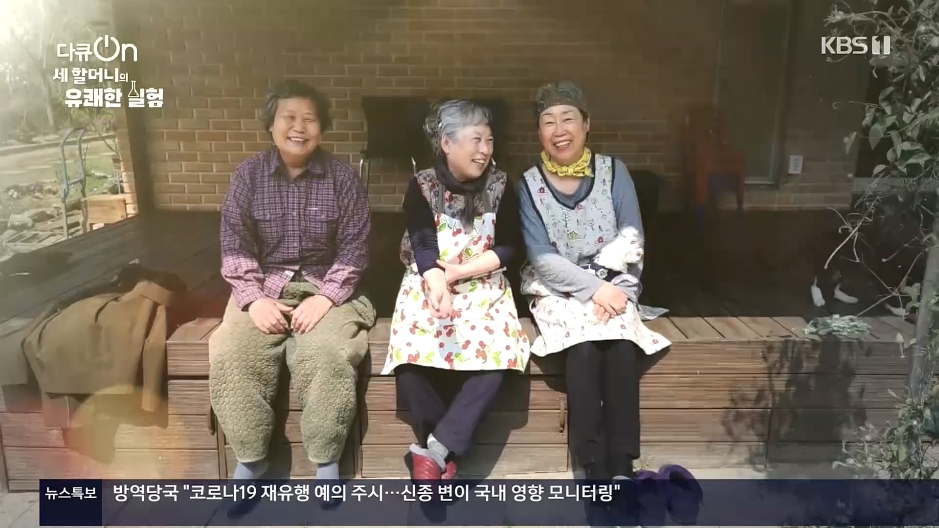 다큐 On.E166.221028p.H264-F1RST.mp4_20221031_194358.501.jpg