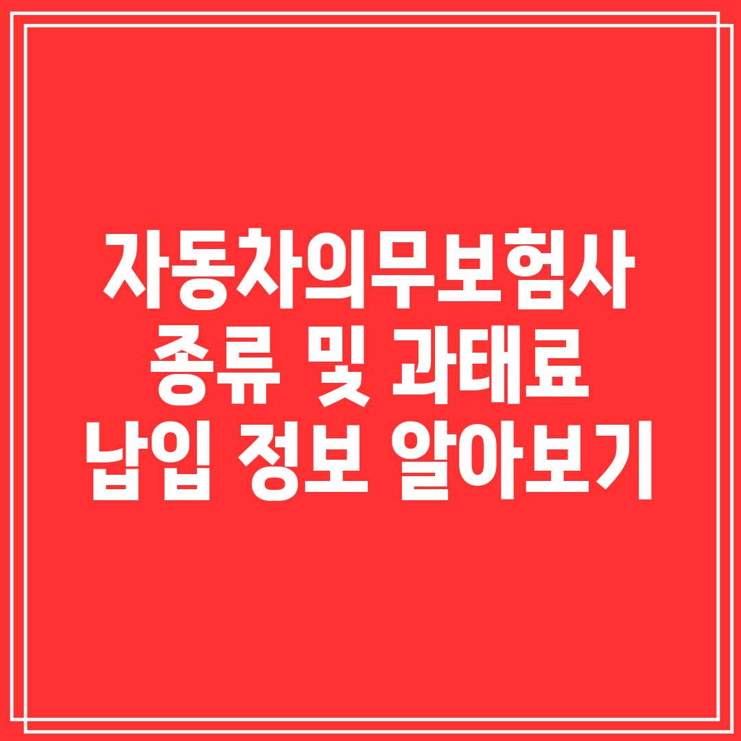 자동차의무보험사 종류 및 과태료 납입 정보 알아보기