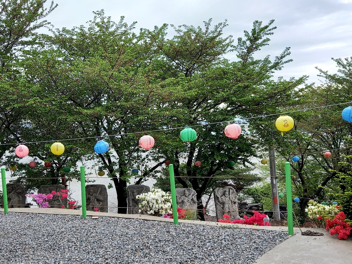 img.jpg