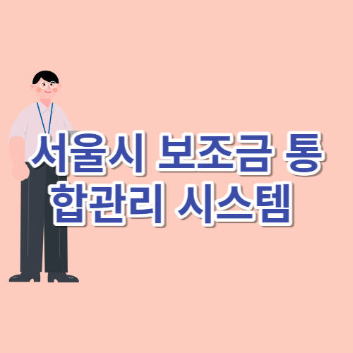 서울시 보조금 통합관리 시스템