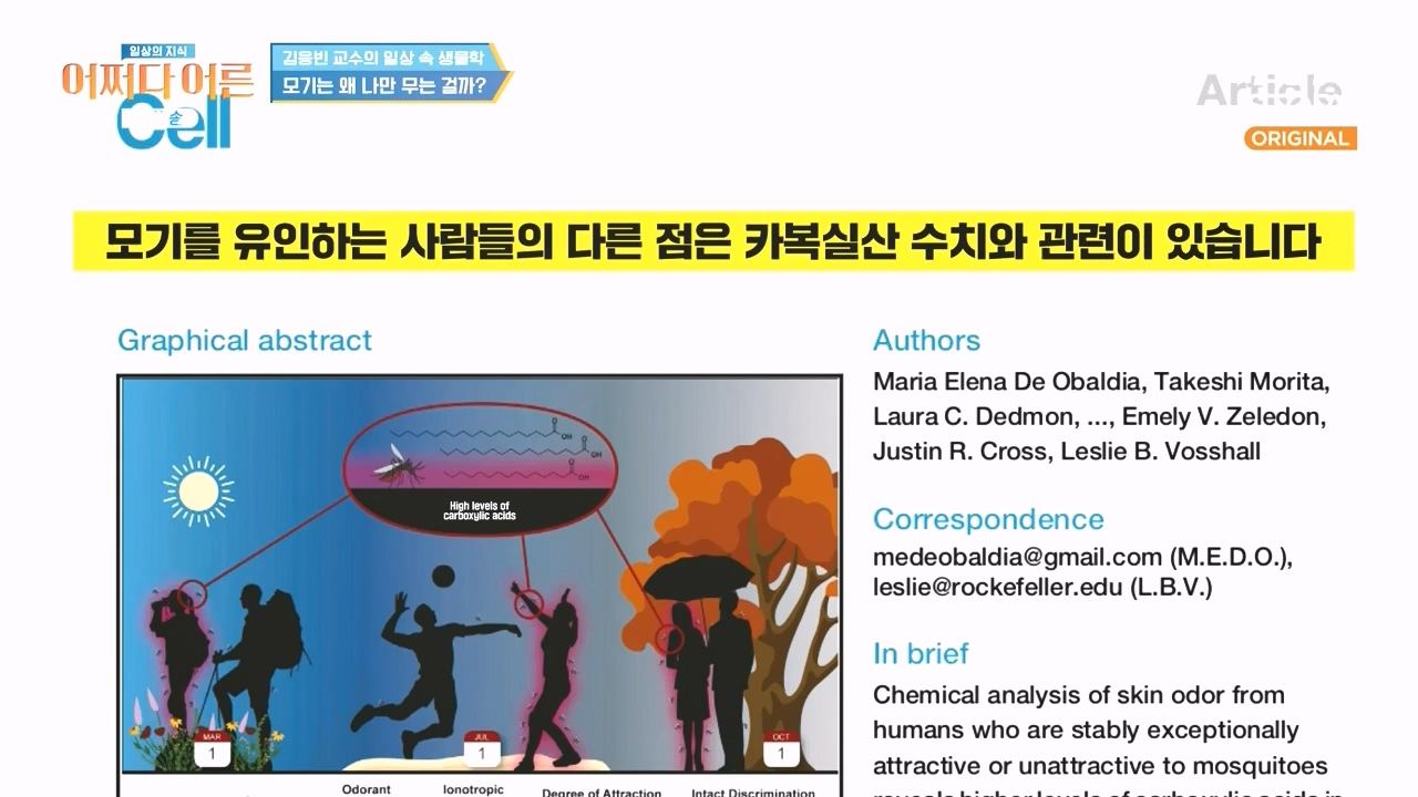 어쩌다 어른.E51.240410p-NEXT.mp4_20240410_180516.953.jpg