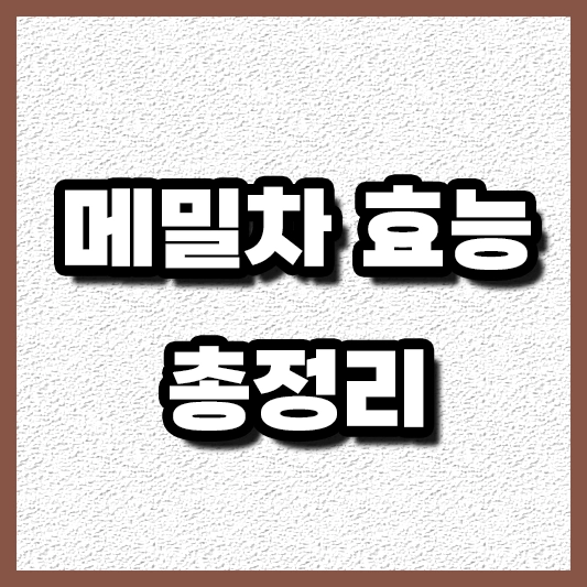 메밀차,섬네일,효능