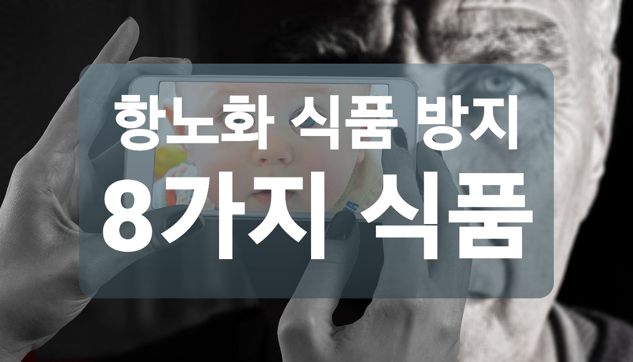  항노화 식품 8가지