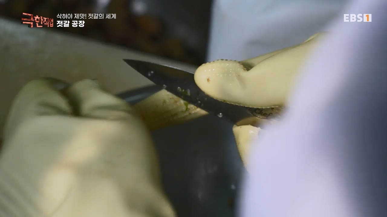 TV - 전 국민의 평생학교 EBS삭혀야 제맛! 젓갈의 세계.mp4_20231125_190848.690.jpg