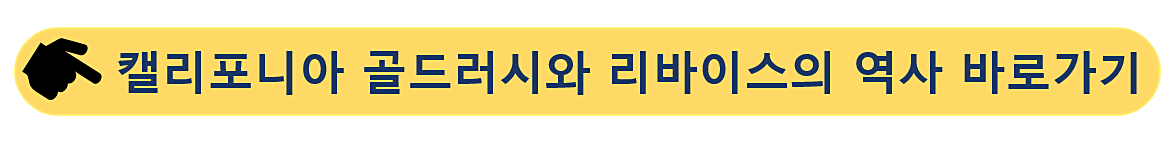 캘리포니아 골드러시-리바이스의 탄생