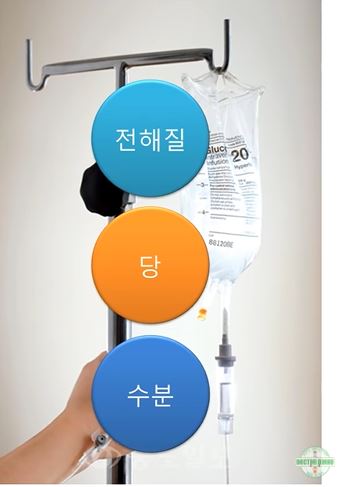  장염, 딱 두 가지만 기억하세요. 굶기와 수분 보충하기