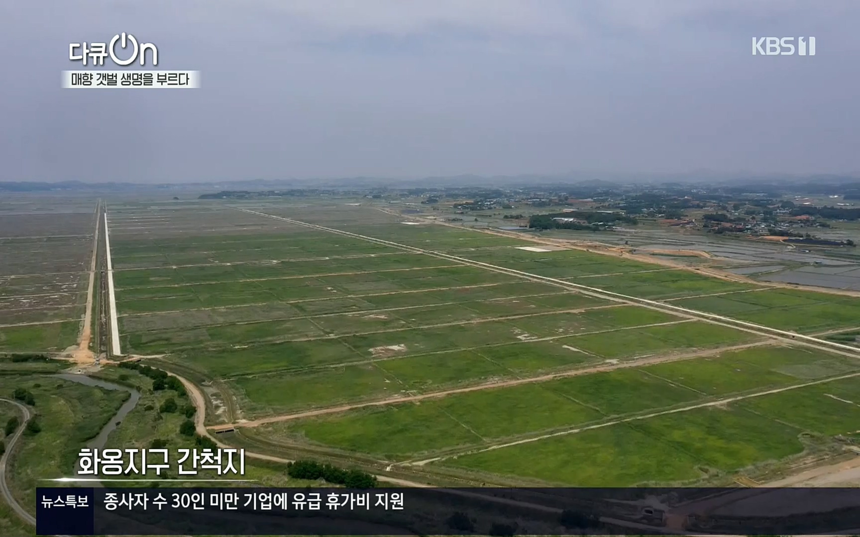 다큐 On.E151.220805p.H264-F1RST.mp4_20220806_193410.133.jpg