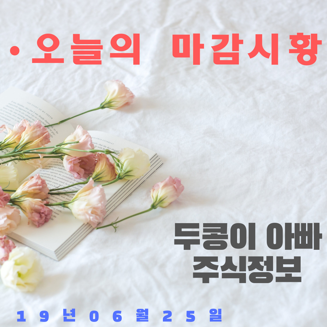  19년  06월  25일 마감시황