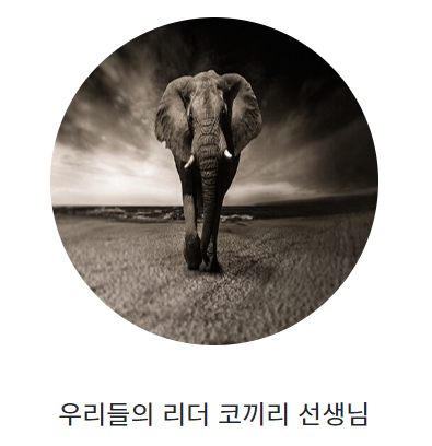 직접 실시해본 MBTI 성향 결과&#44; 코끼리로 나왔다.