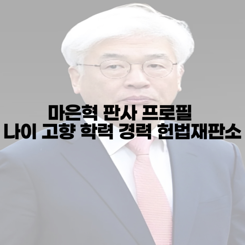마은혁 판사 프로필 나이 고향 학력 경력 헌법재판소