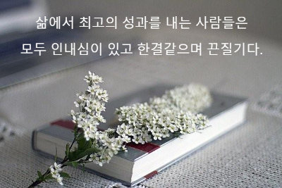 책위에 놓여 있는 꽃들