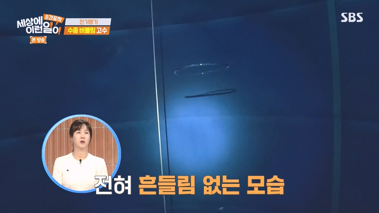 순간포착 세상에 이런일이.E1277.240512p-NEXT.mp4_20240512_151449.210.jpg