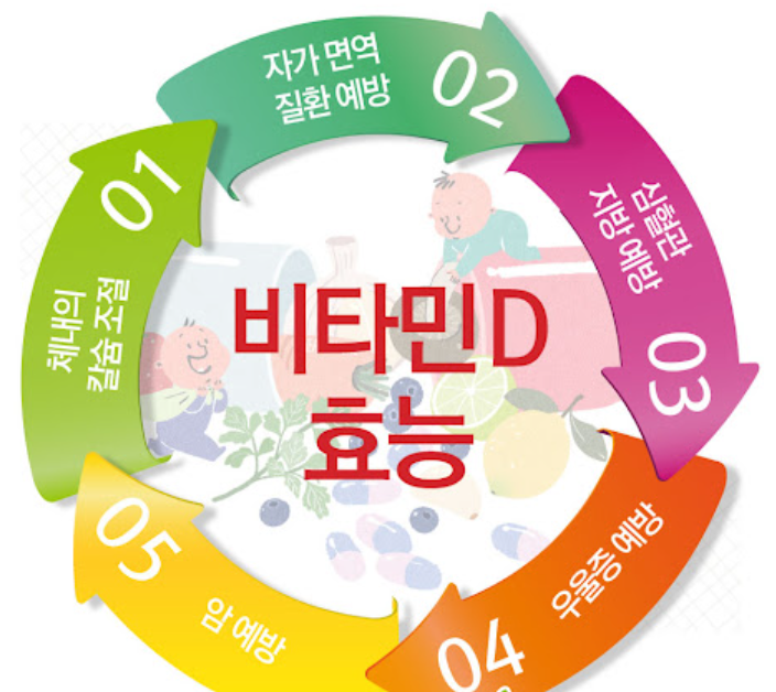  비타민디효능 알고싶다면