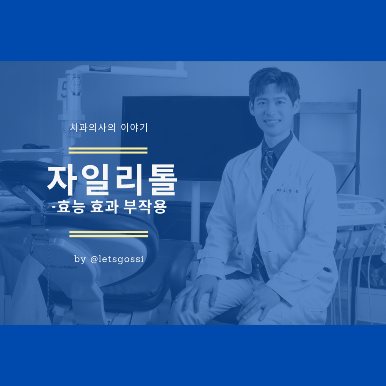  자일리톨 효능 효과 부작용, 사람과 강아지 측면에서