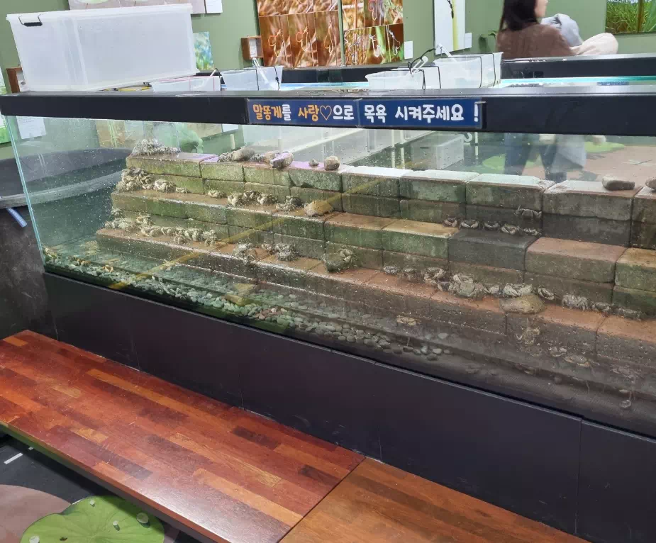 말똥게-목욕시키기-체험