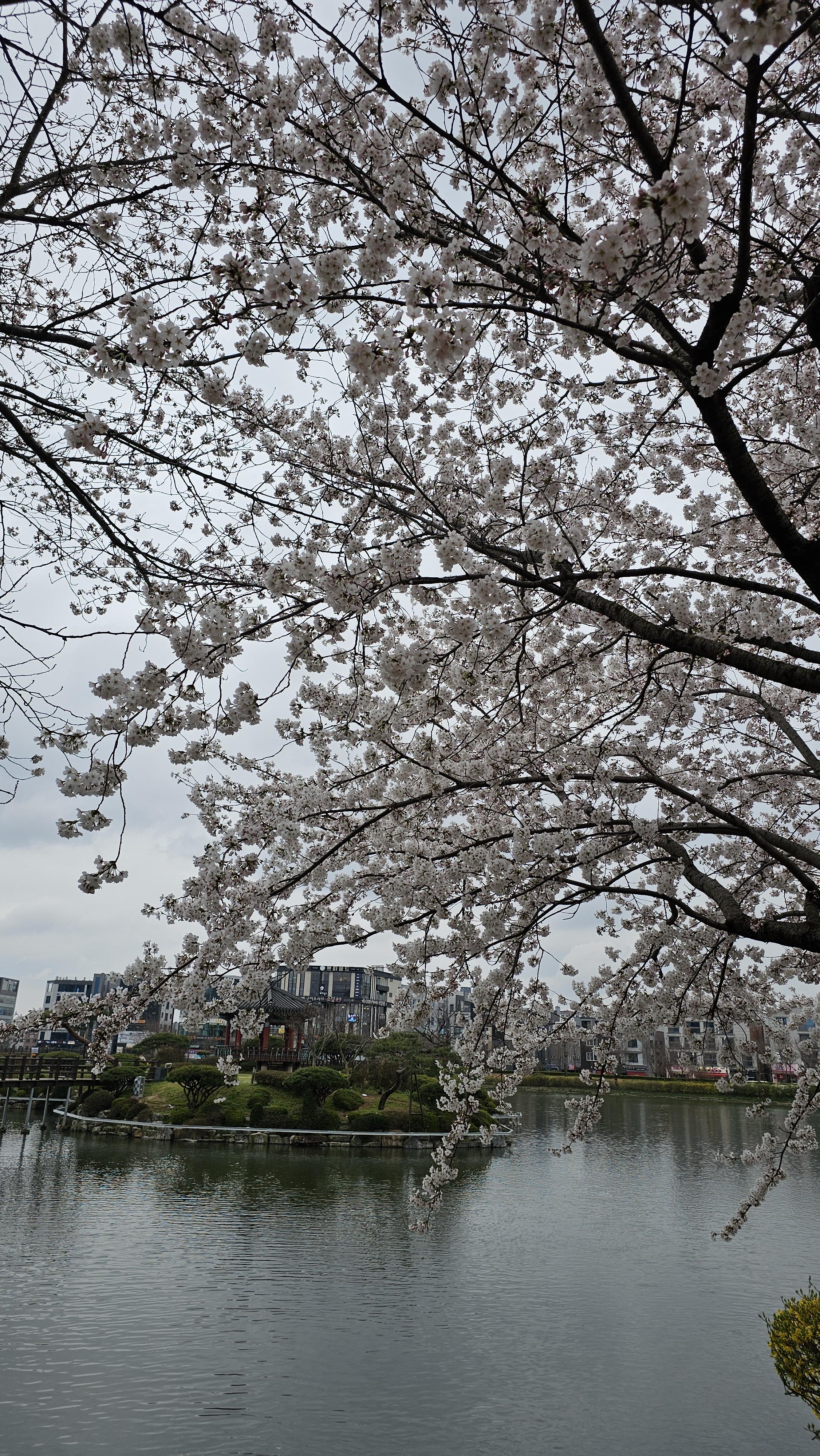 (주)서산 이미지
