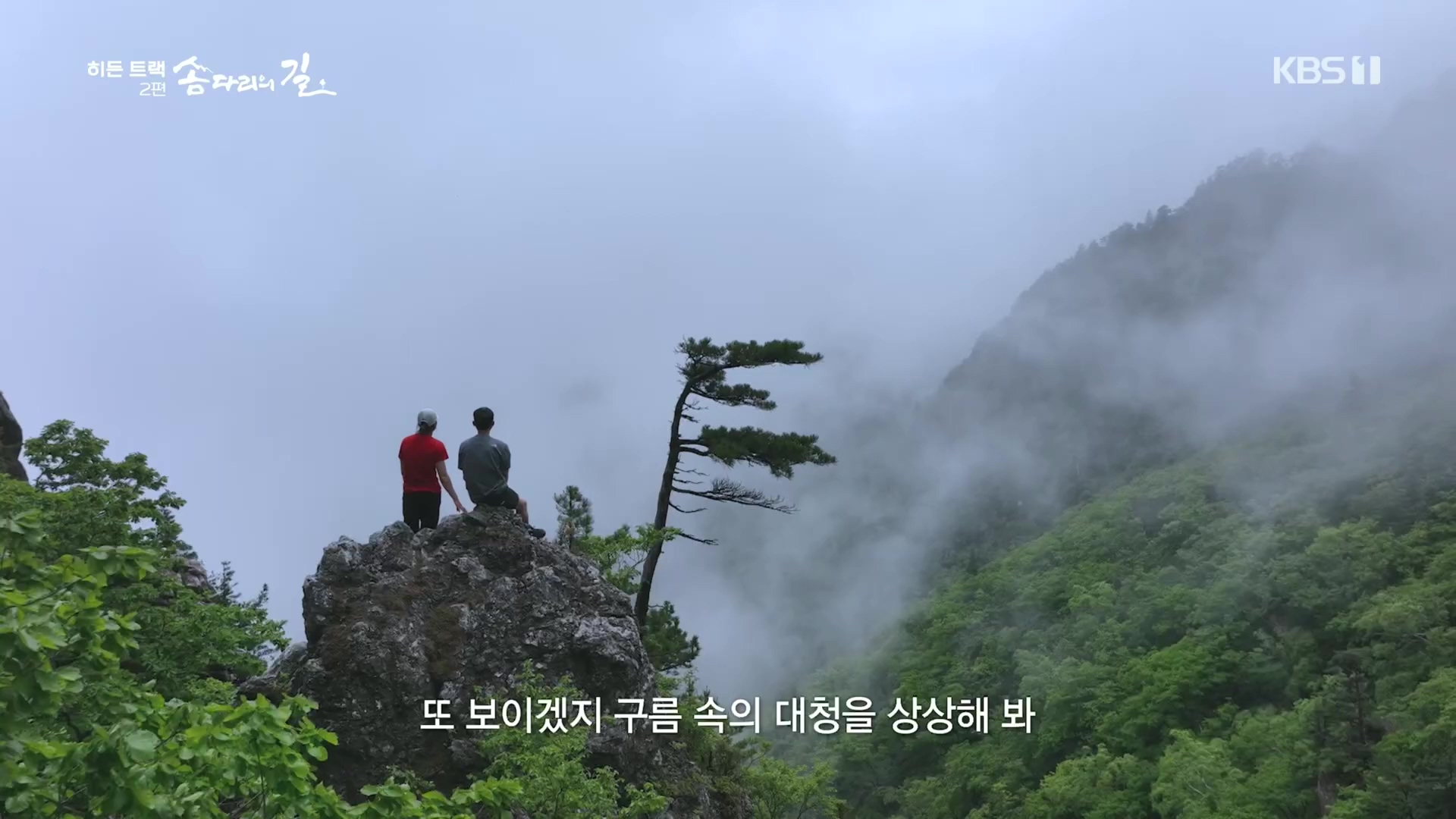 다큐 인사이트.E02.231215p.H264-F1RST.mp4_20231216_184912.159.jpg