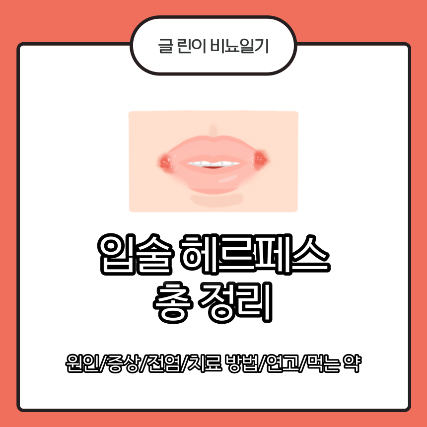  입술 헤르페스 총 정리 : 원인/증상/전염/치료 방법/연고/먹는 약