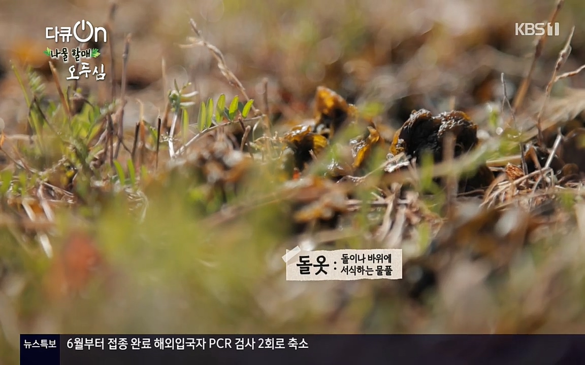 다큐 온.E138.220507p-NEXT.mp4_20220507_181942.081.jpg