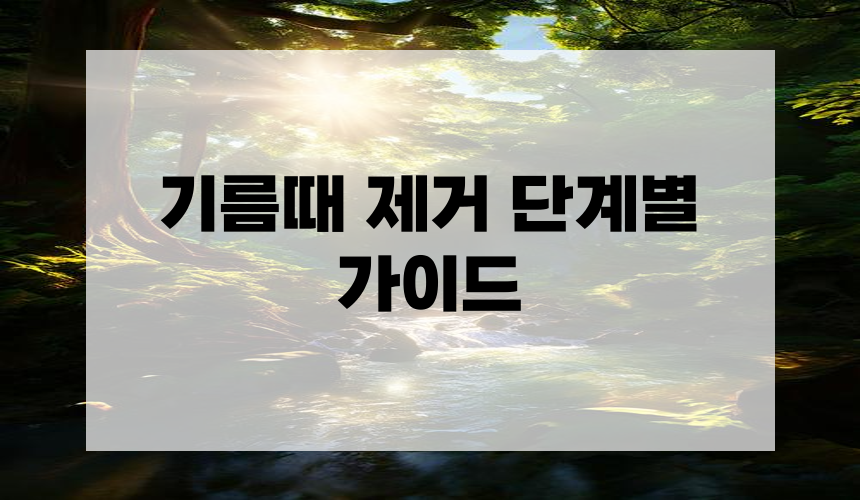 기름때 제거 단계별 가이드