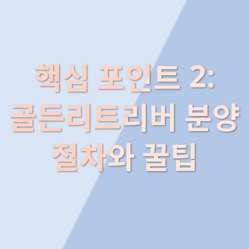 골든리트리버 분양_2