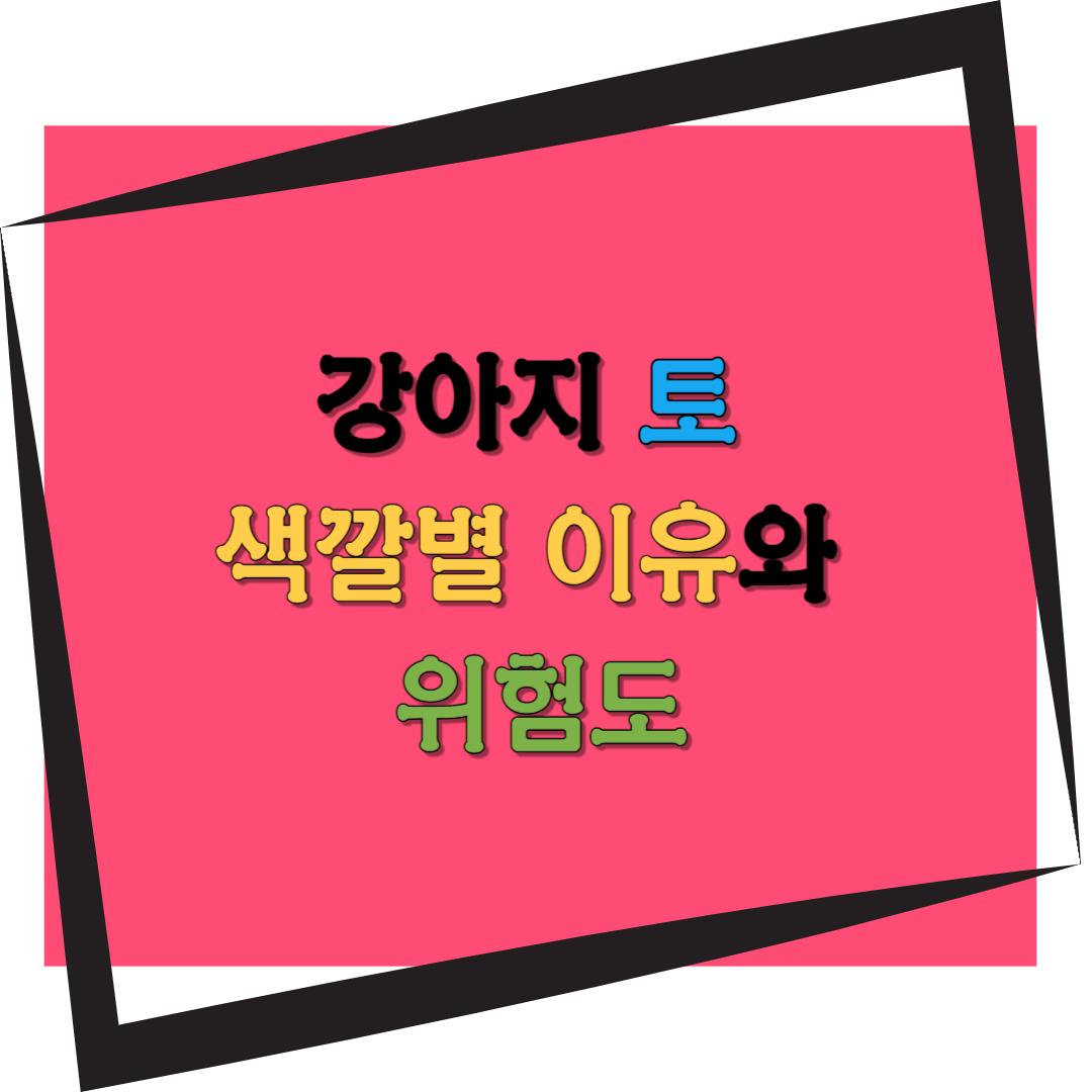강아지 토 색깔별 이유와 위험도