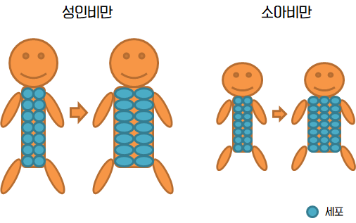  체중 감량 후 유지하기 위한 약속  3가지, 요요 방지하는 법!