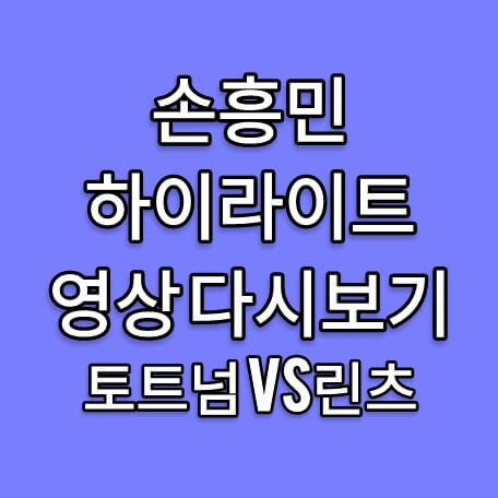 손흥민 골 하이라이트 영상 - 토트넘 린츠