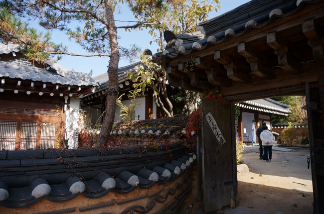 군산엄마들이 2020_엄마 아빠랑 50