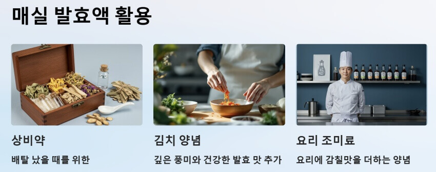 매실 발효액 활용 ppt이미지