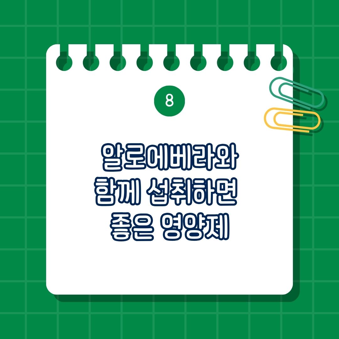 알로에 베라 함께 섭취하면 좋은 영양제, 같이 먹으면 도움 되는 성분, 함께 복용하면 좋은 영양제