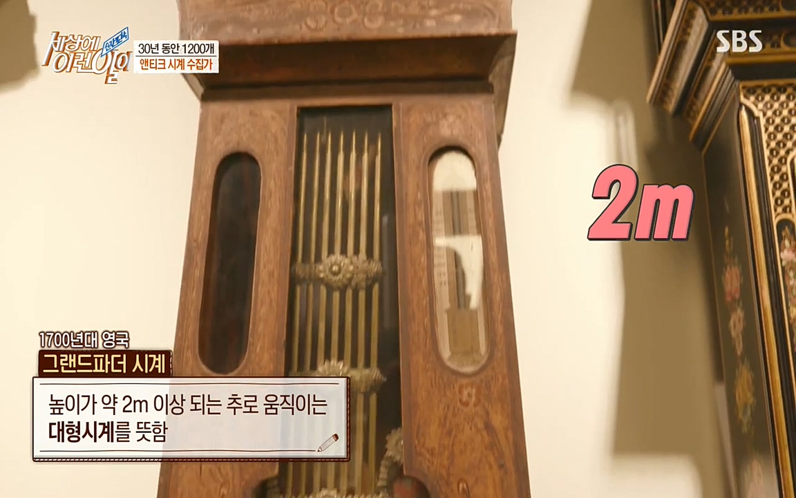 순간포착 세상에 이런일이.E1177.220427p-NEXT.mp4_20220427_181155.104.jpg