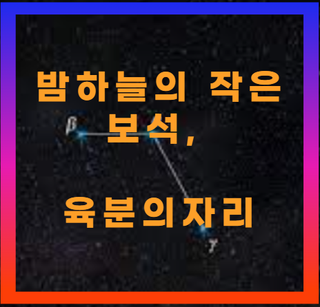 육분의자리
