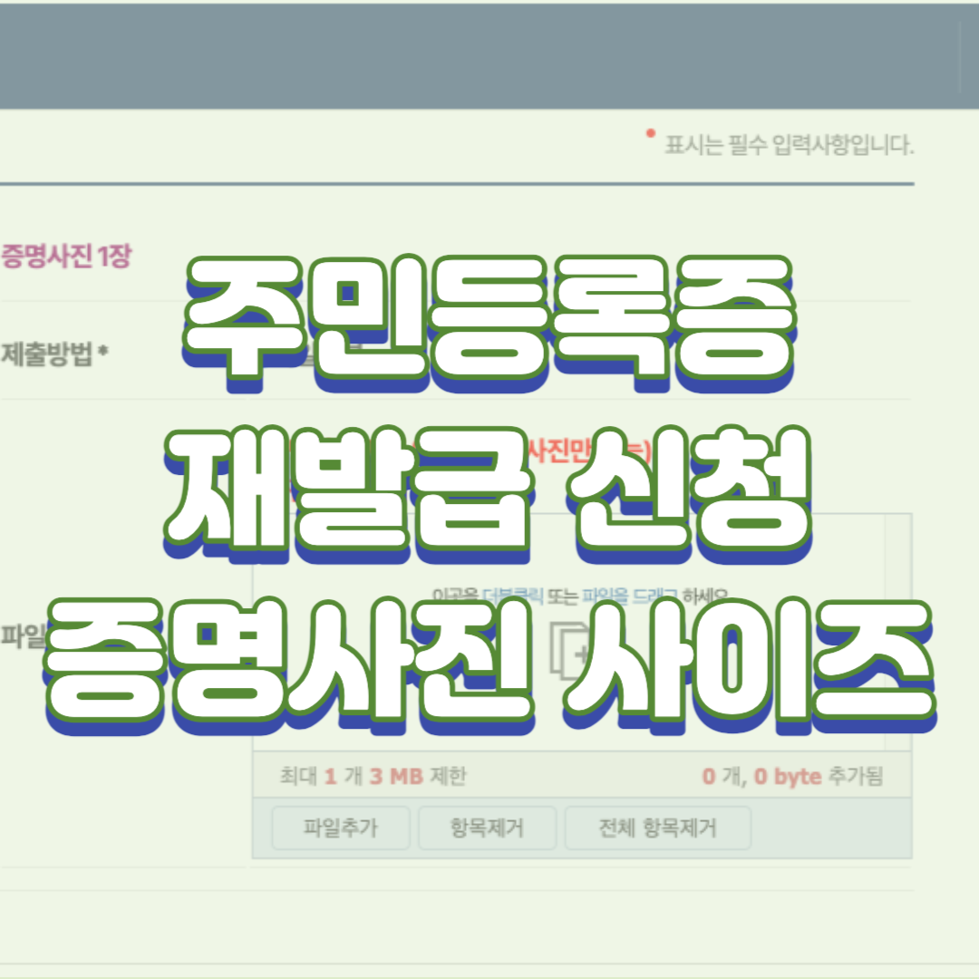  주민등록증 재발급 신청 시 증명사진 사이즈 (센치 미터 cm, 픽셀 px)