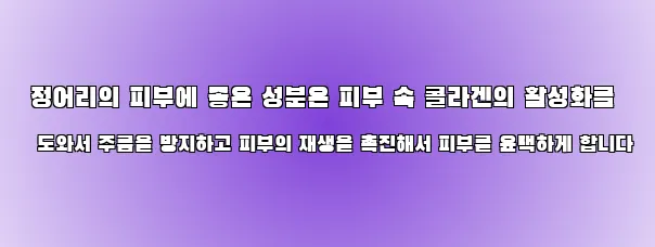  정어리의 피부에 좋은 성분은 피부 속 콜라겐의 활성화를 도와서 주름을 방지하고 피부의 재생을 촉진해서 피부를 윤택하게 합니다