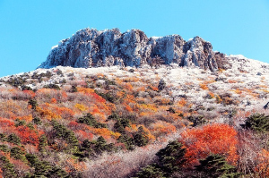 단풍시기