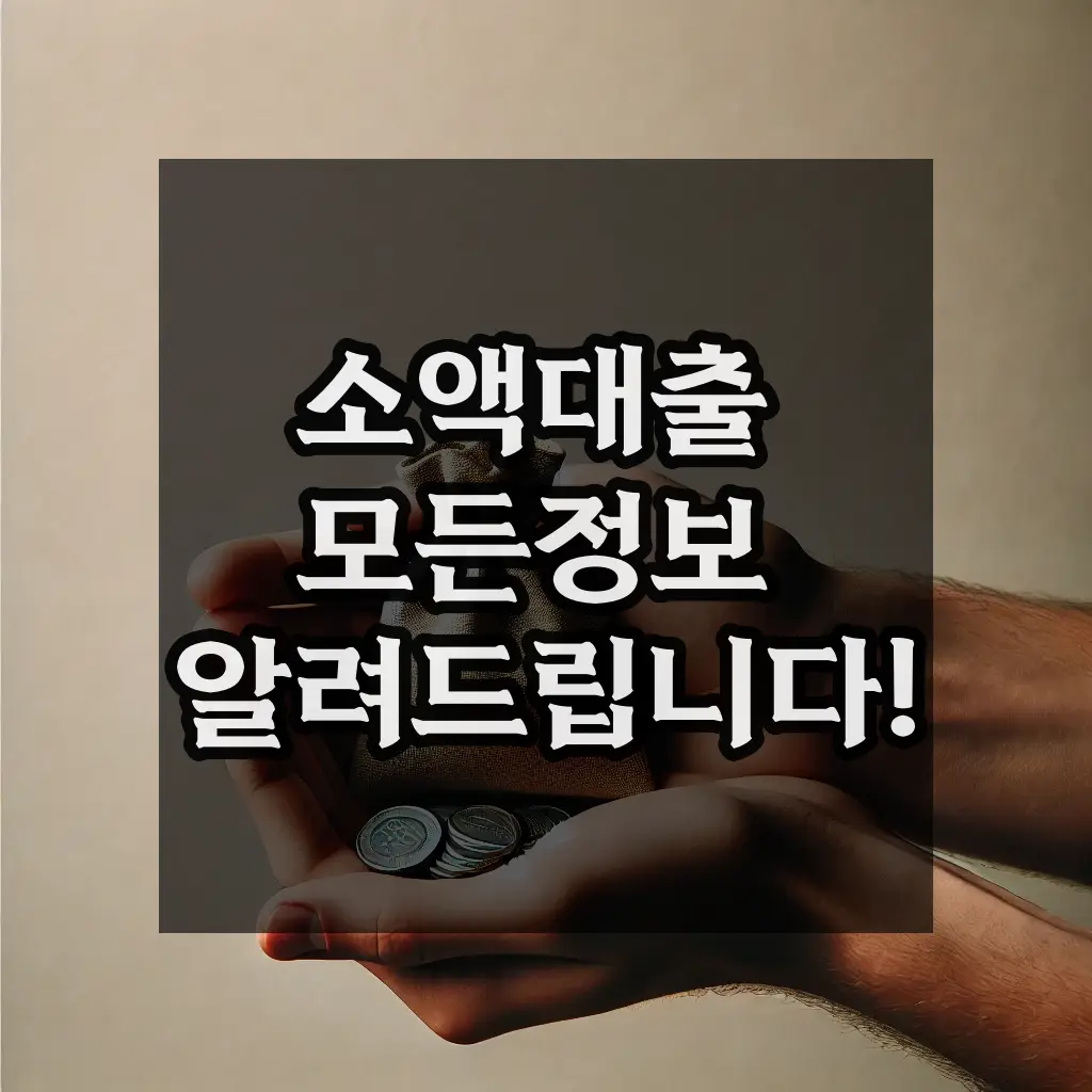 소액대출