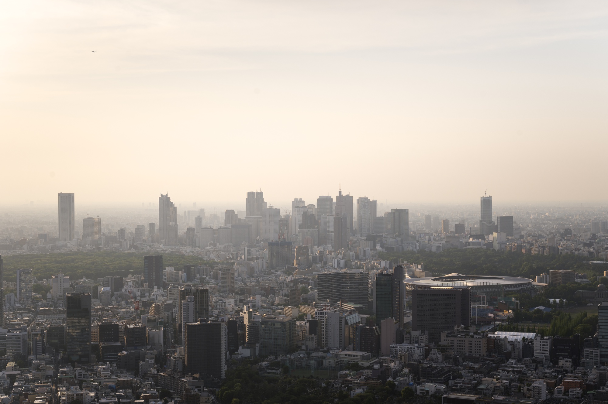 미세먼지